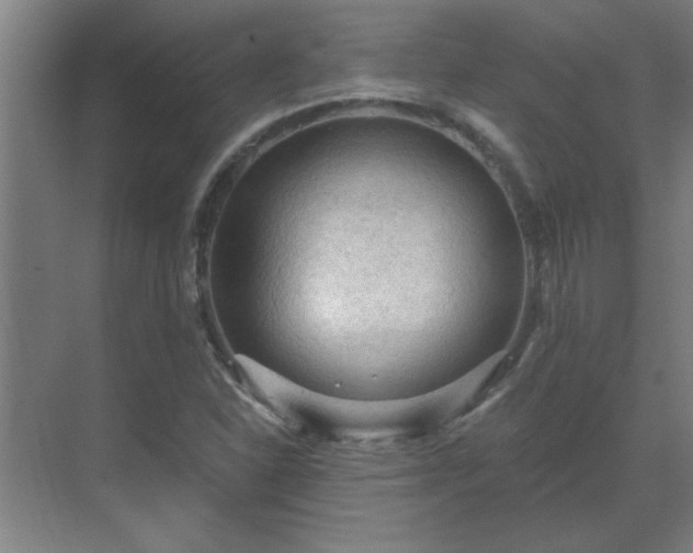 X0000069791310200605261646