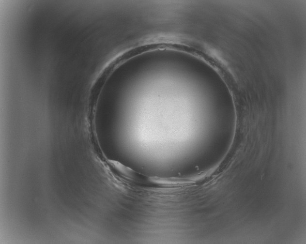 X0000069791312200605261646