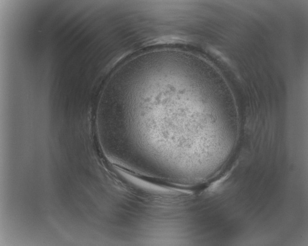 X0000069791313200605261646