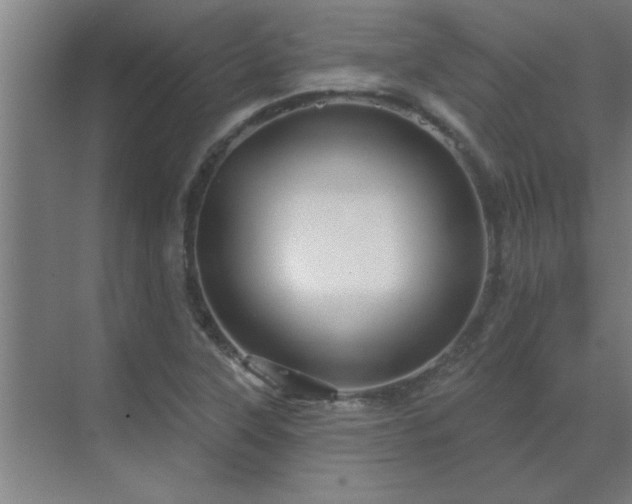 X0000069791315200605261646