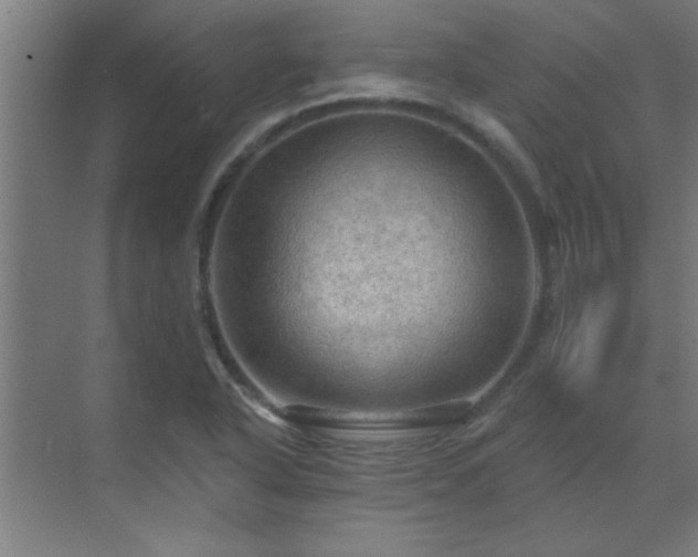 X0000069791318200605261646