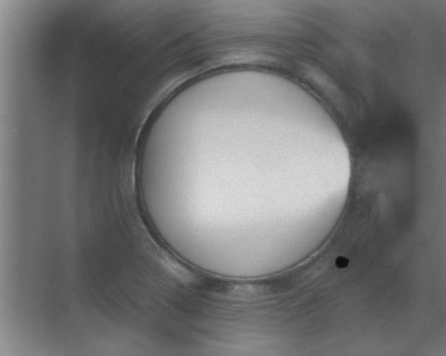 X0000069791322200605261646