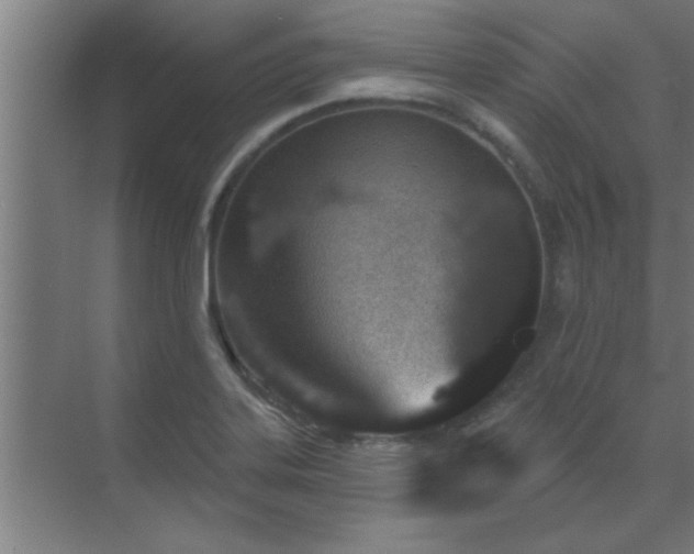 X0000069791323200605261646