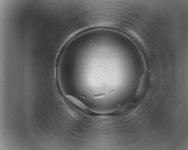 X0000069791324200605261646