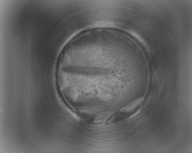 X0000069791325200605261646