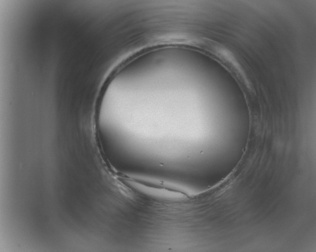 X0000069791328200605261647