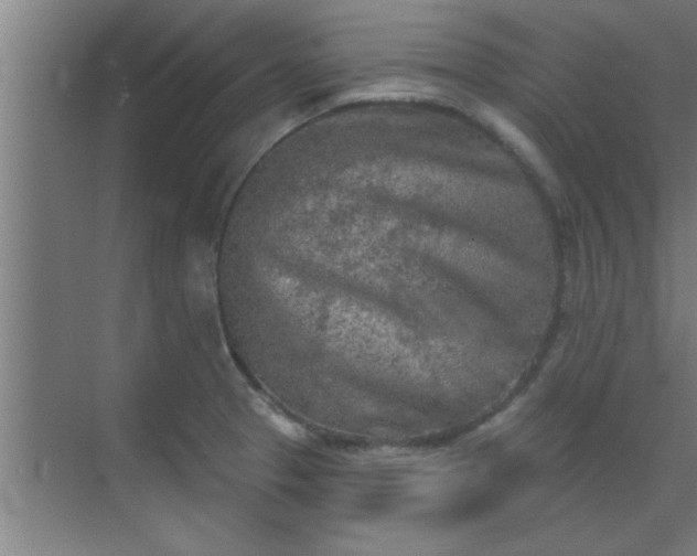 X0000069791329200605261647