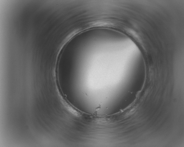 X0000069791330200605261647