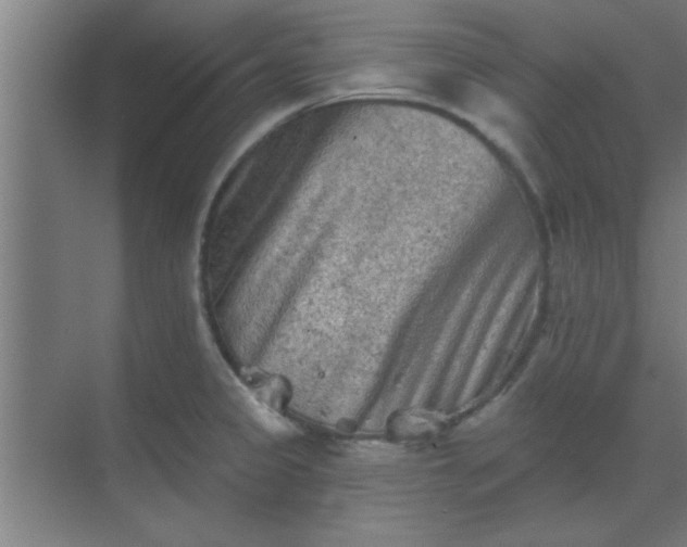 X0000069791333200605261647