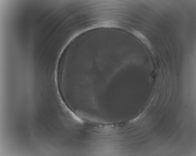 X0000069791334200605261647