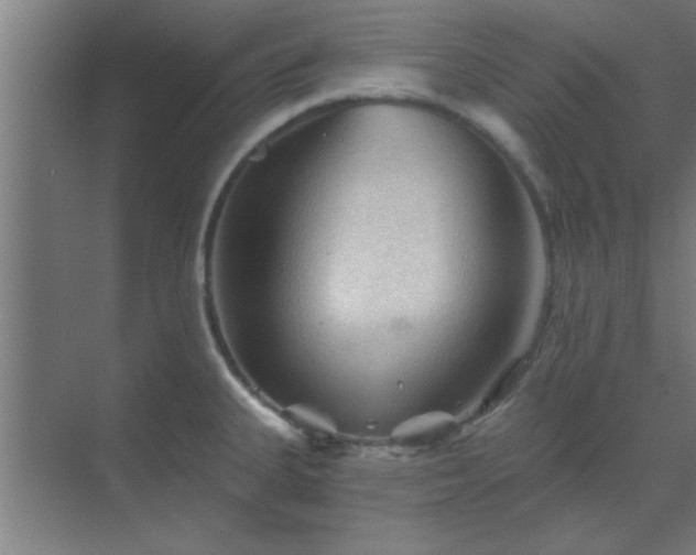 X0000069791335200605261647