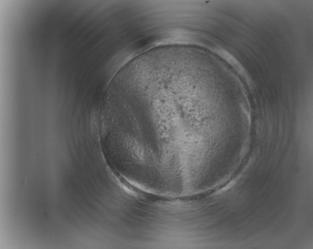 X0000069791337200605261647