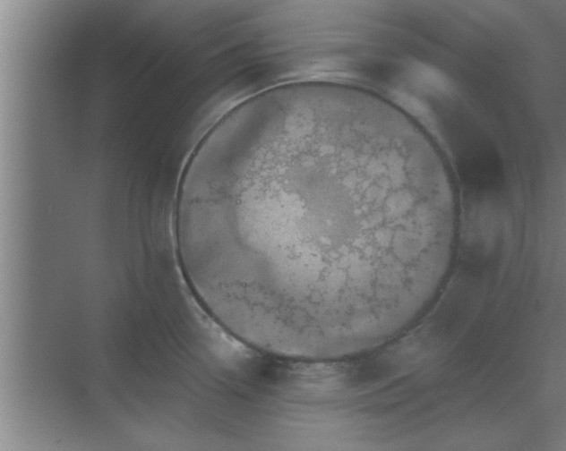 X0000069791338200605261647