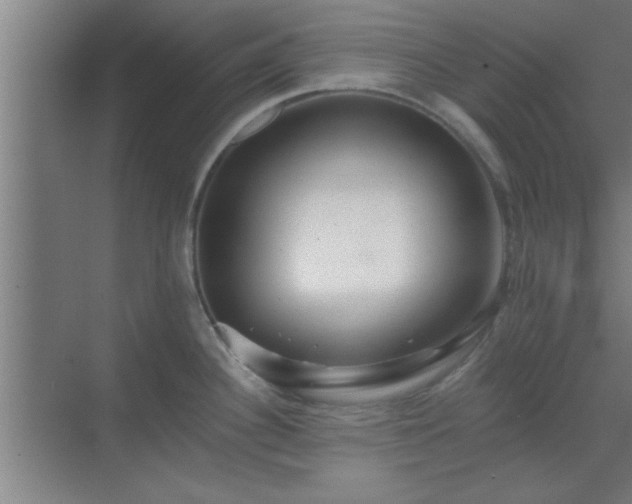 X0000069791340200605261647