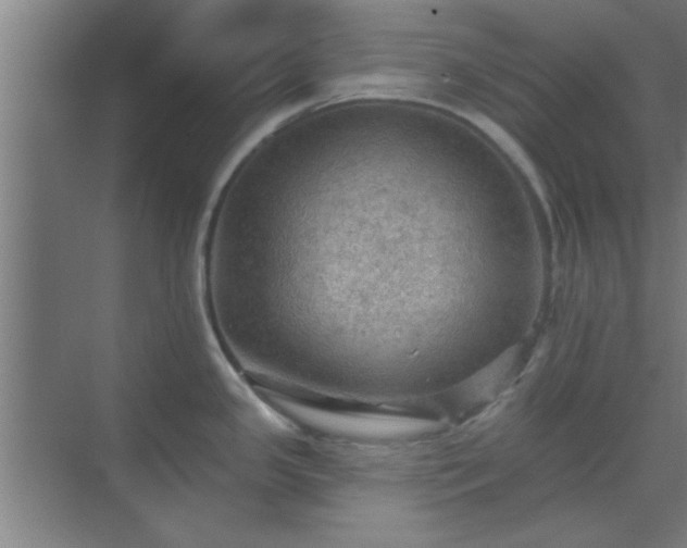 X0000069791341200605261647