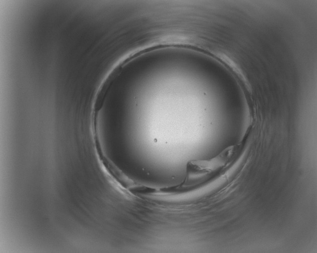 X0000069791342200605261647