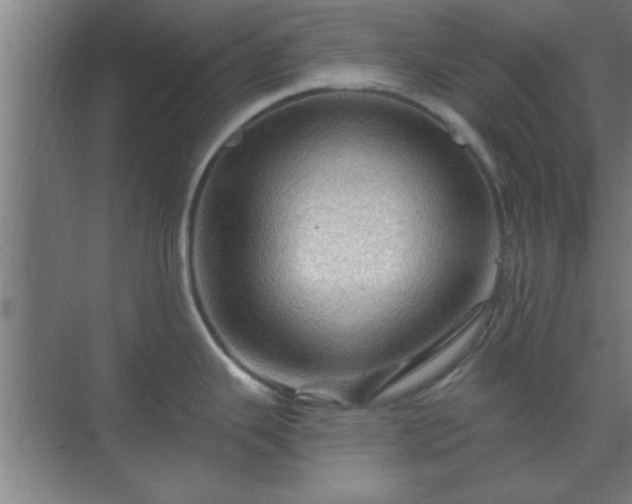 X0000069791343200605261647