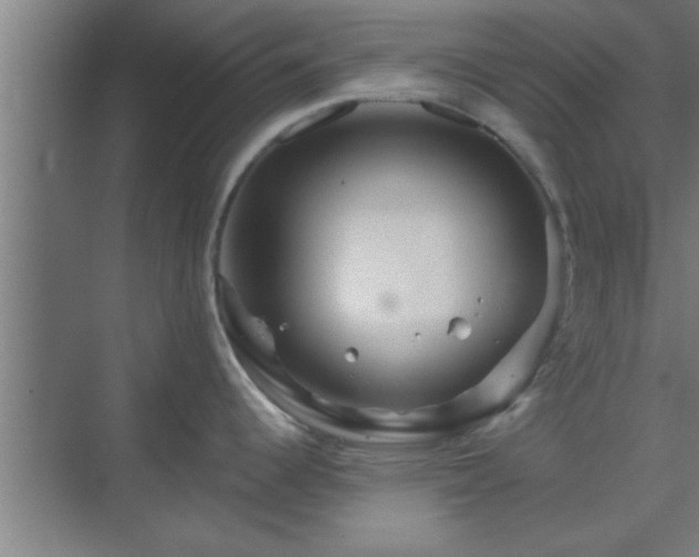 X0000069791344200605261647