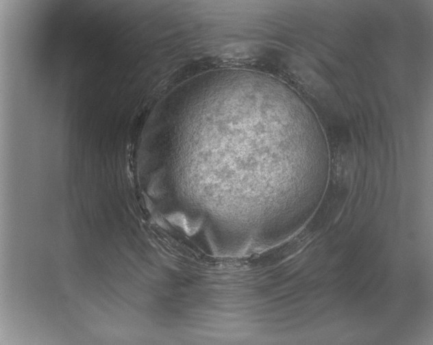 X0000069791346200605261646