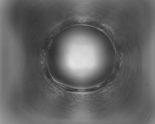 X0000069791349200605261646