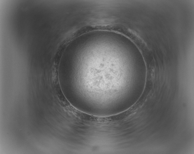 X0000069791350200605261646