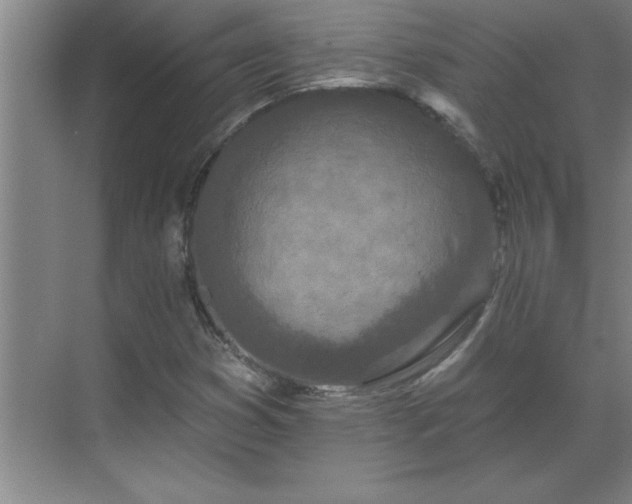 X0000069791353200605261646