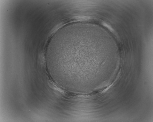 X0000069791354200605261646