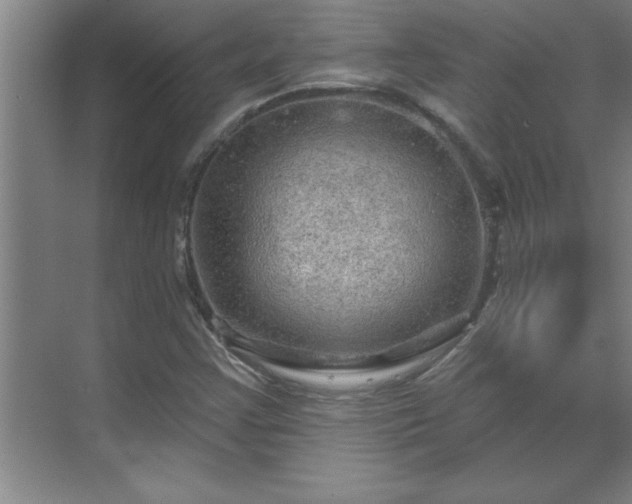 X0000069791355200605261646