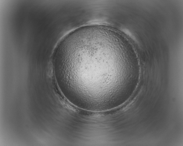 X0000069791358200605261646