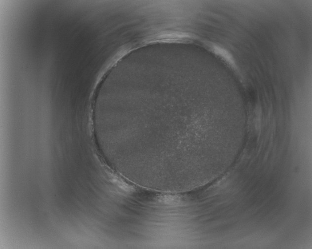 X0000069791362200605261646