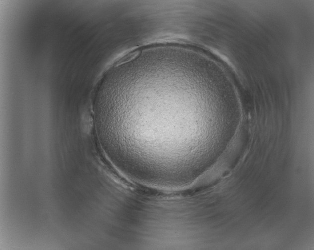 X0000069791363200605261646