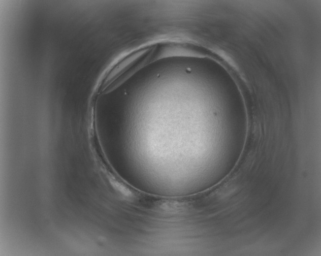 X0000069791366200605261646