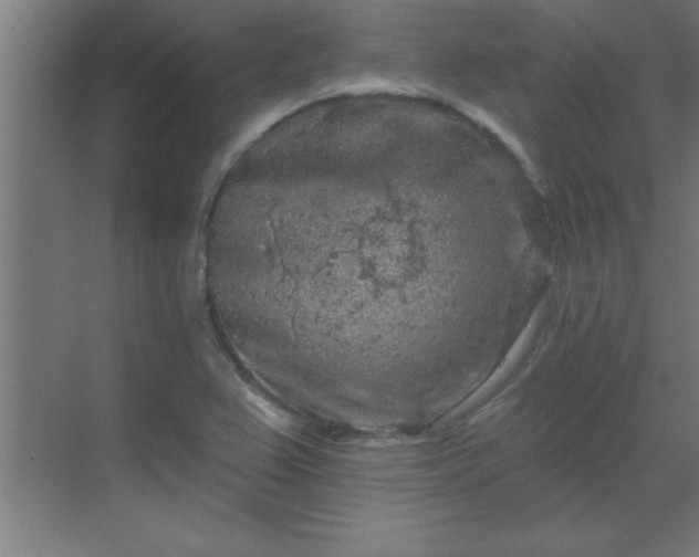 X0000069791367200605261646