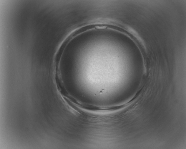 X0000069791368200605261646