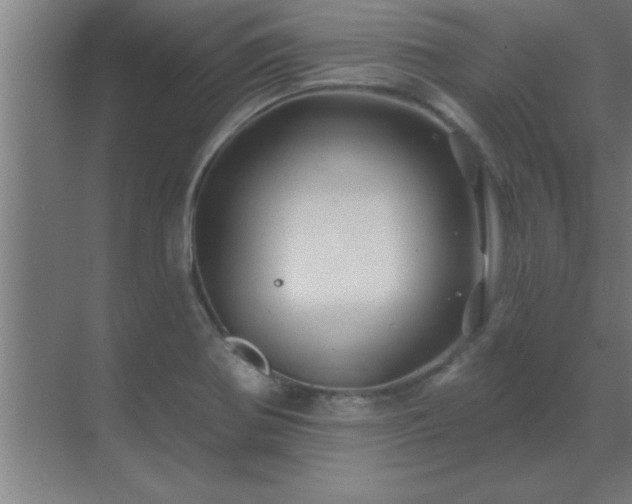 X0000069791370200605261646