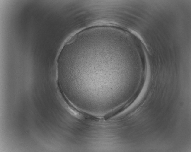 X0000069791371200605261646