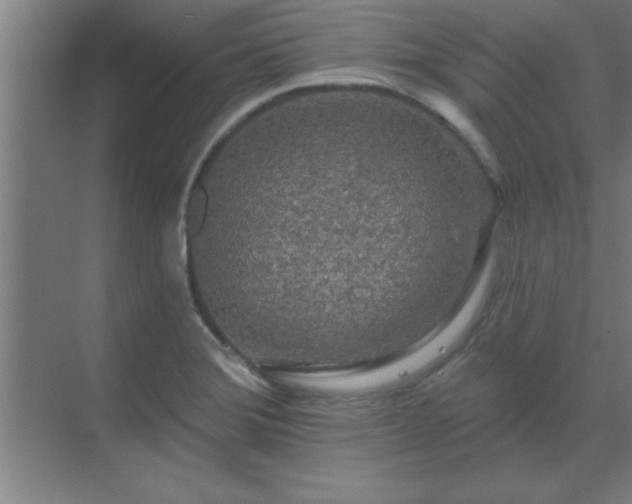 X0000069791372200605261646