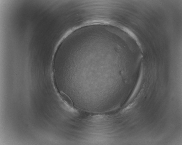 X0000069791373200605261646