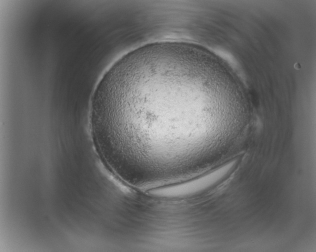 X0000069791374200605261646