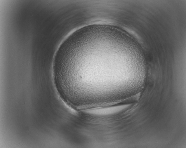 X0000069791375200605261645