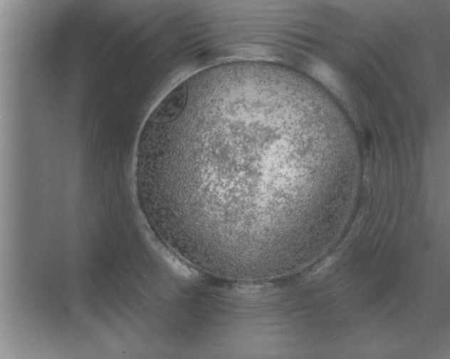 X0000069791378200605261645