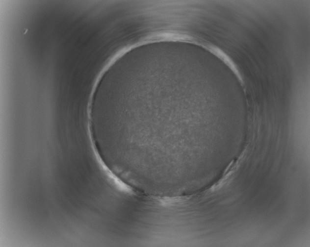 X0000069791381200605261645