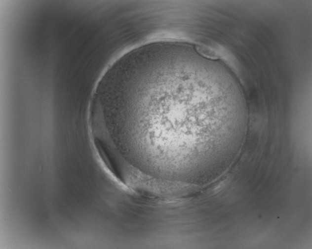 X0000069791382200605261645