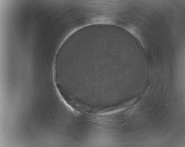 X0000069791383200605261645