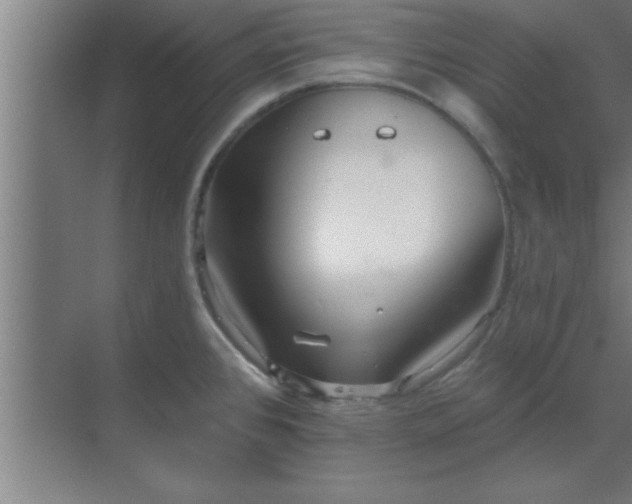 X0000069791384200605261645