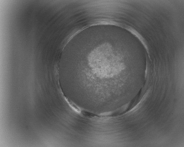 X0000069791385200605261645