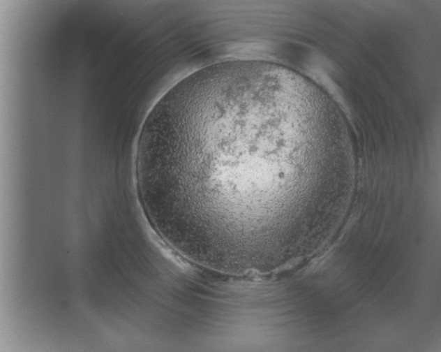 X0000069791386200605261645