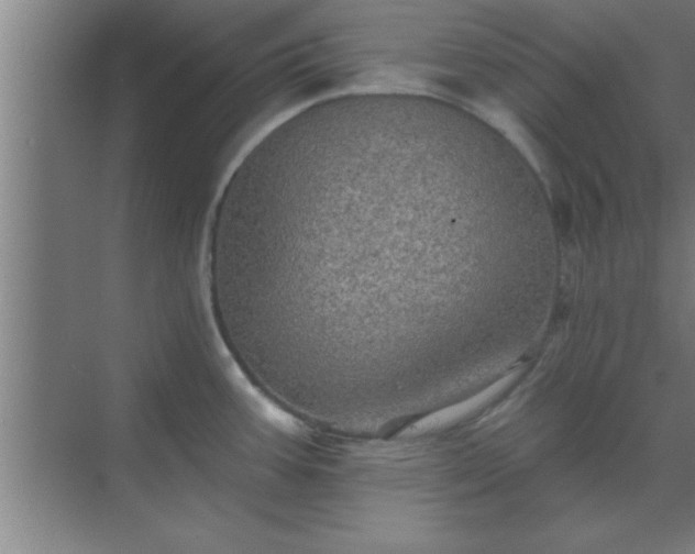 X0000069791387200605261645