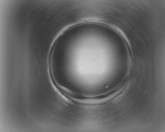 X0000069791389200605261645