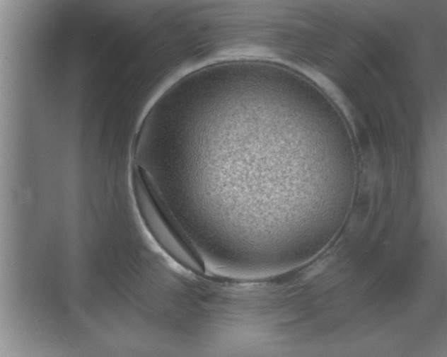 X0000069791390200605261645